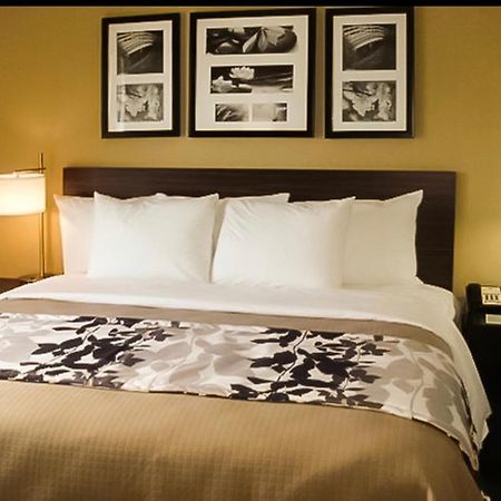 The Vue Inn Brooklyn Ню Йорк Екстериор снимка