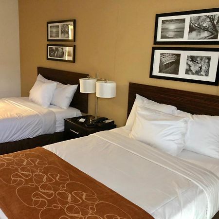 The Vue Inn Brooklyn Ню Йорк Екстериор снимка