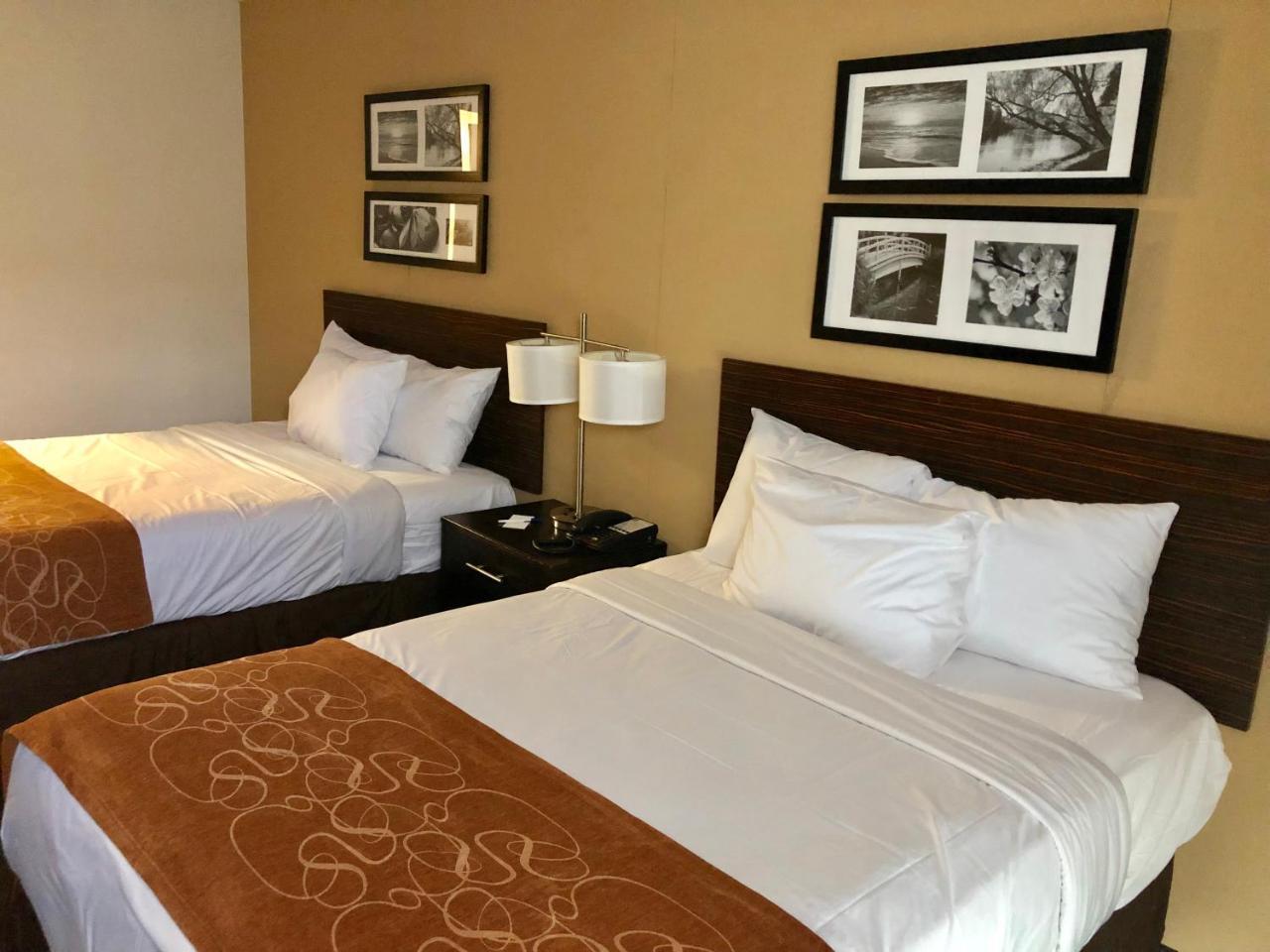 The Vue Inn Brooklyn Ню Йорк Екстериор снимка